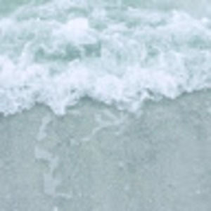 Meet your Posher, Tess